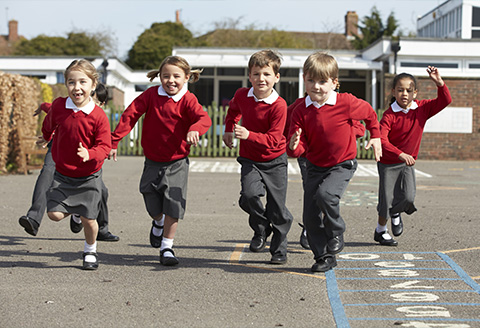 Ogi brings interactive STEM programme to schools Image