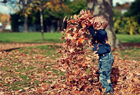Communities get outdoors thanks to Ogi Image